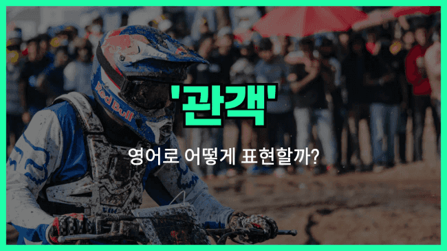 'spectator' 영어표현