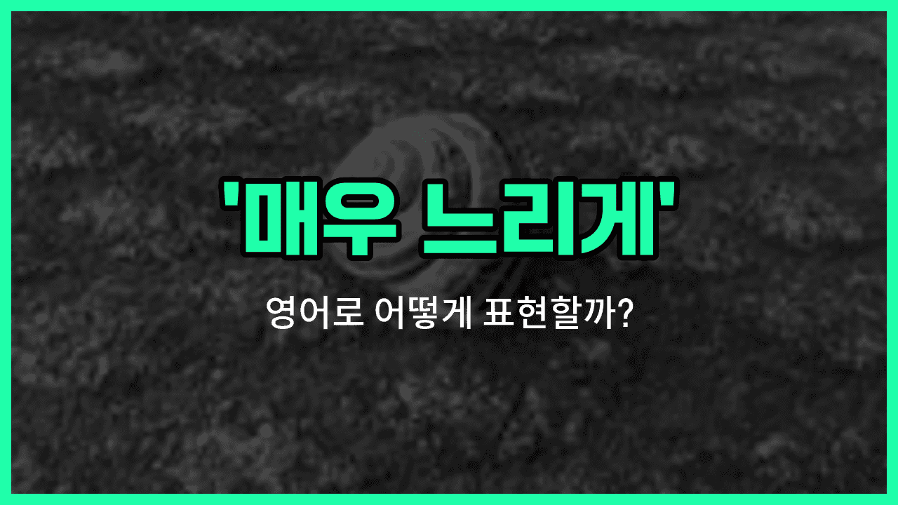 'at a snail's pace' 영어표현 썸네일