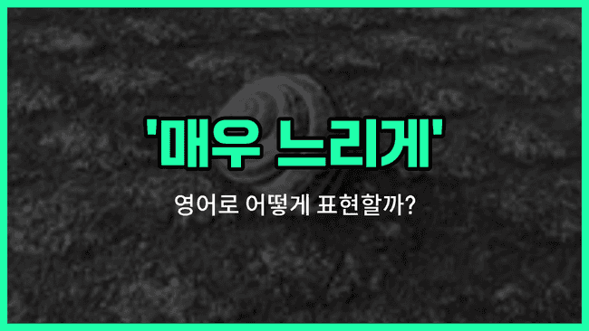 'at a snail's pace' 영어표현