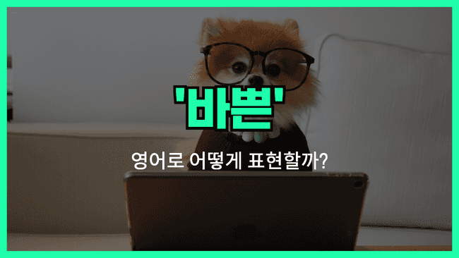 'busy' 영어표현