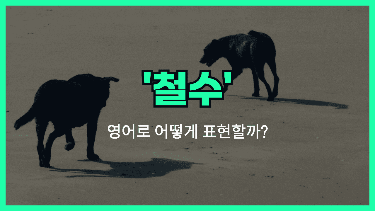 'withdrawal' 영어표현 썸네일