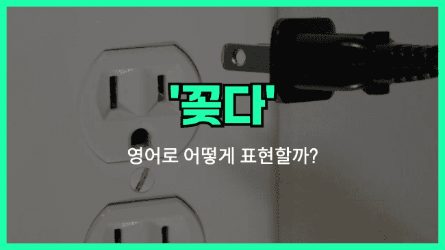 'plug in' 영어표현