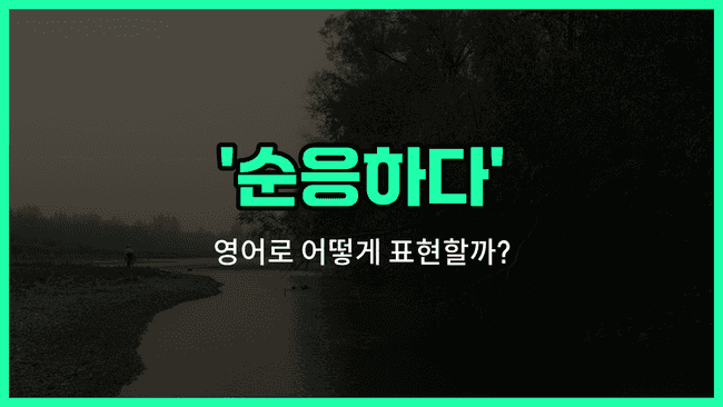 'go with the flow' 영어표현