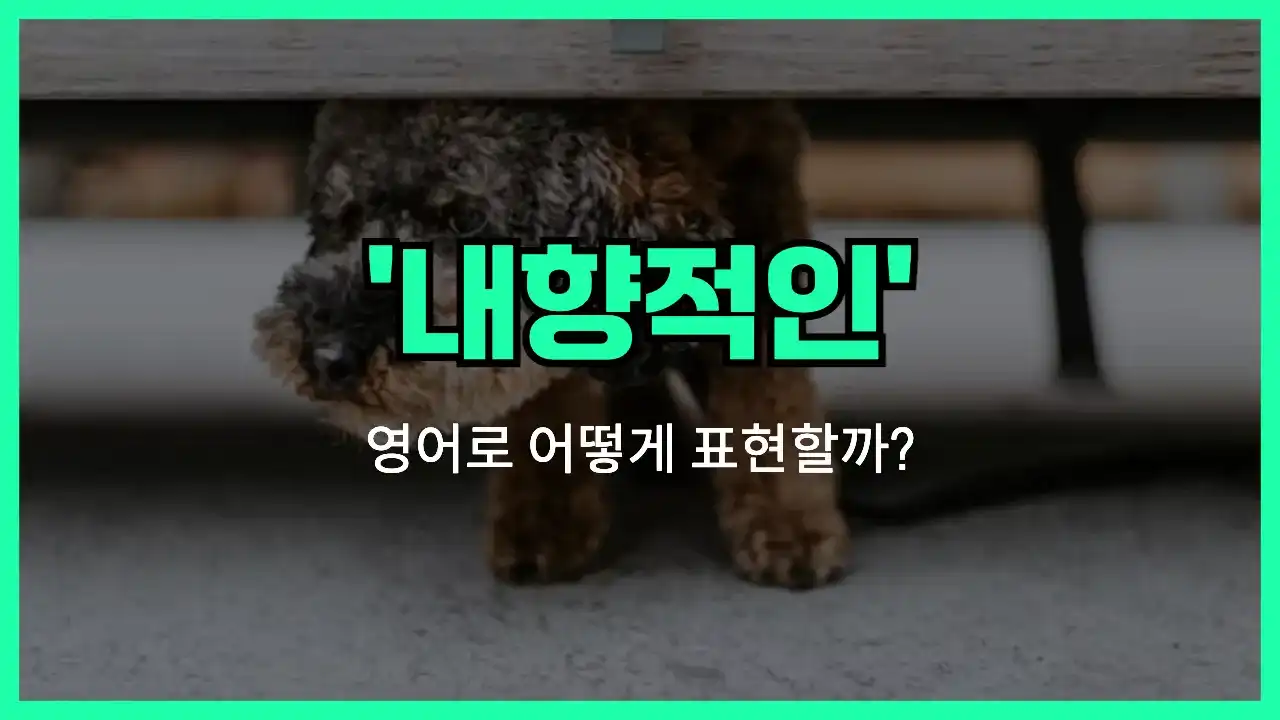 'introverted' 영어표현 썸네일