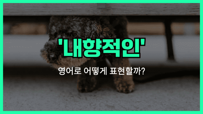 'introverted' 영어표현