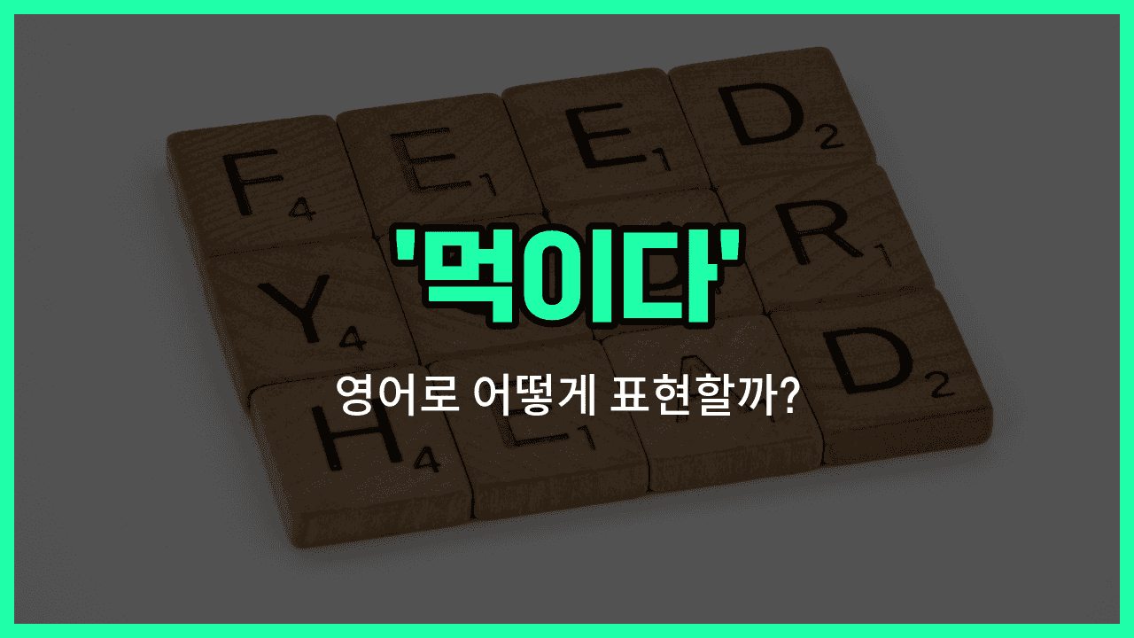'feed' 영어표현 썸네일