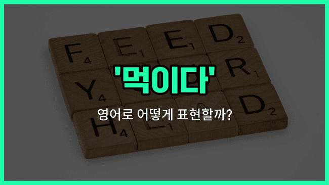 'feed' 영어표현