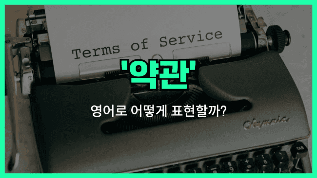 'terms' 영어표현