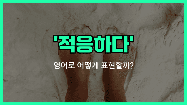 'find one's feet' 영어표현