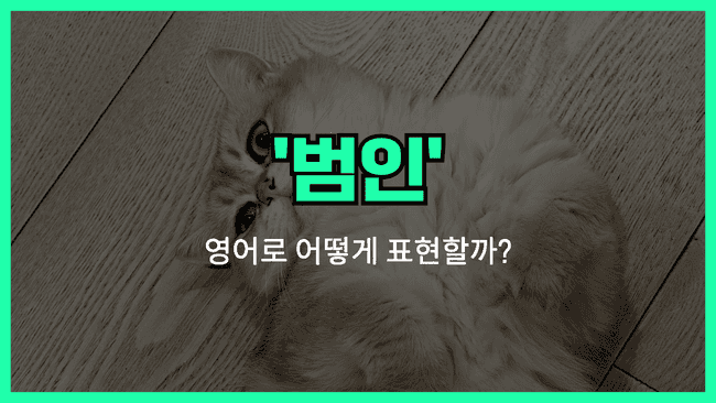 'culprit' 영어표현 썸네일