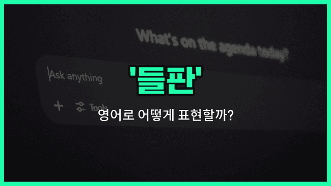 'field' 영어표현