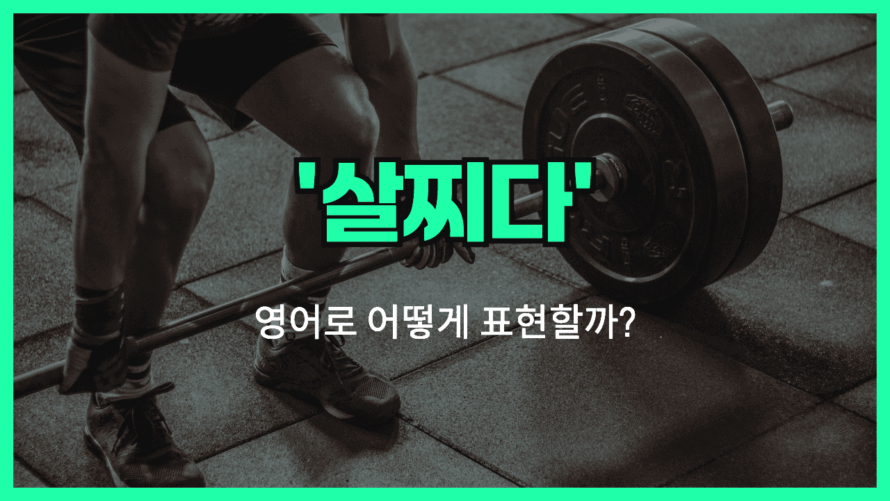 살찌다 영어표현