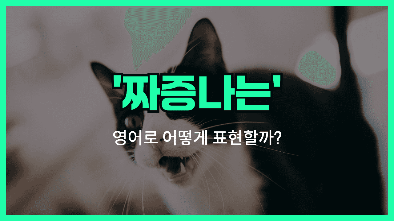 'annoying' 영어표현 썸네일