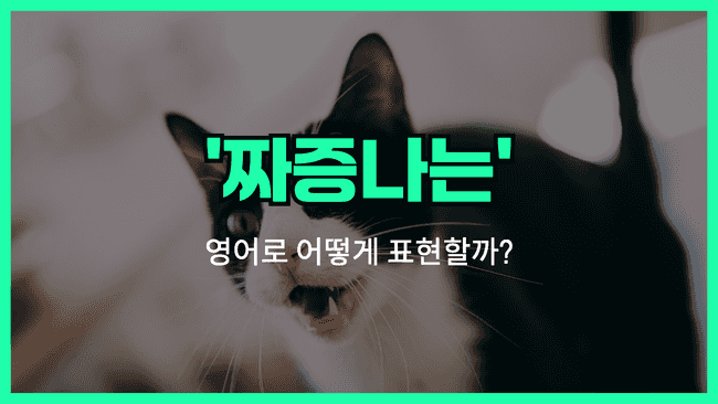 'annoying' 영어표현