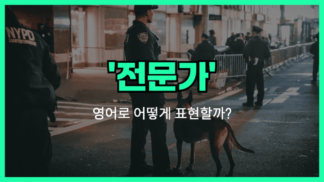 '전문가' 영어표현 썸네일