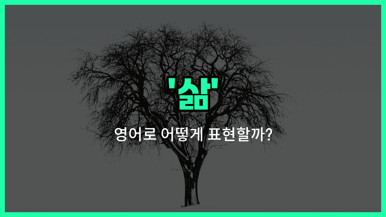 'life' 영어표현 썸네일