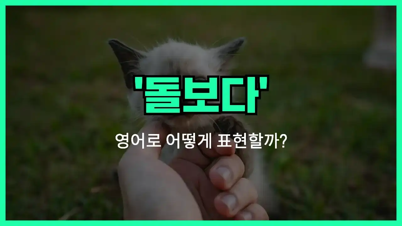 'look after' 영어표현 썸네일