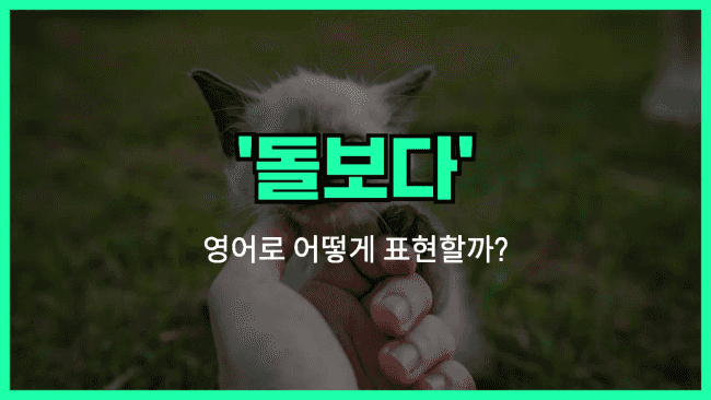 'look after' 영어표현