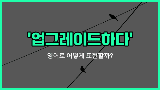 'upgrade' 영어표현