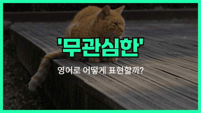 '무관심한' 영어표현 썸네일