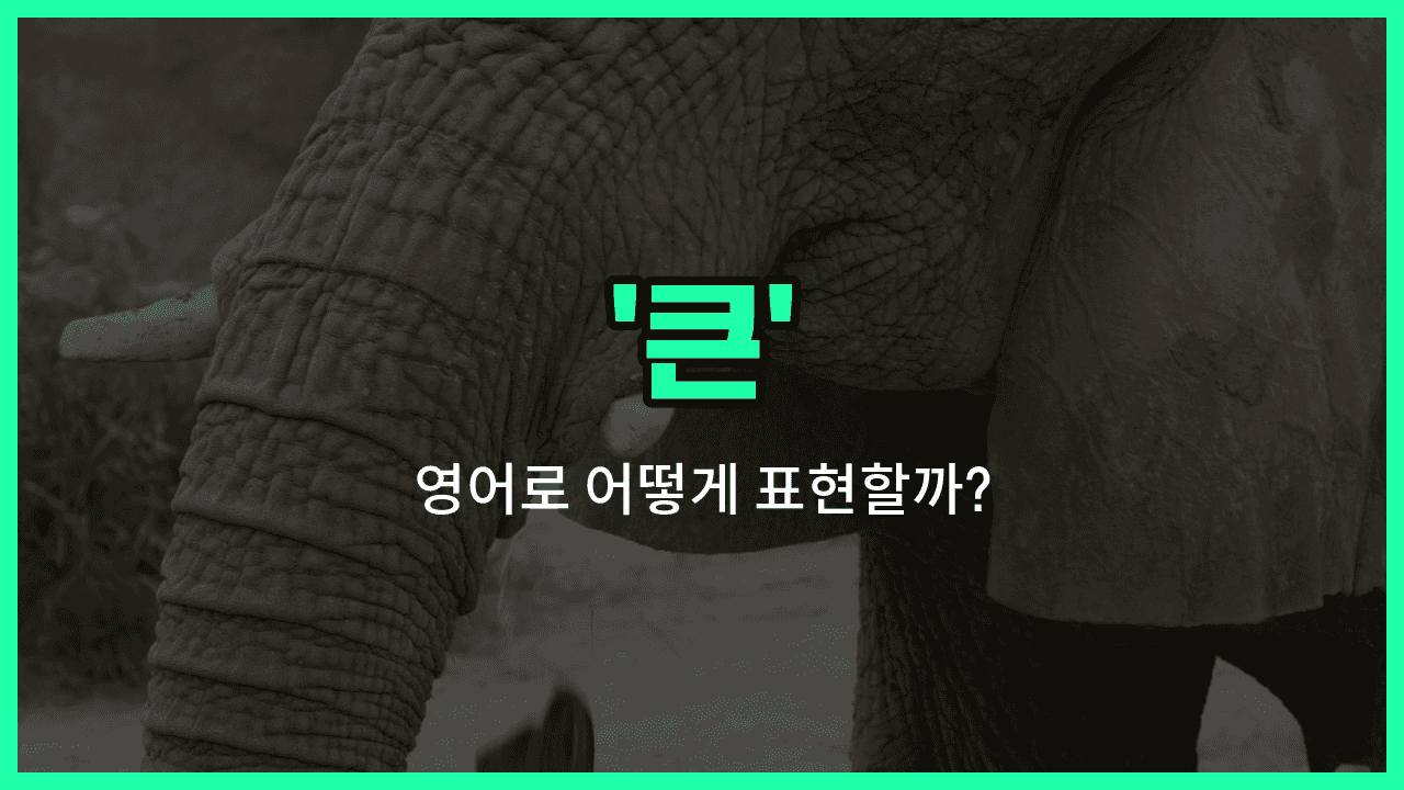 'big' 영어표현 썸네일