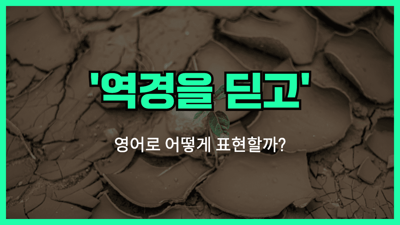 역경을 읻고 영어표현 썸네일