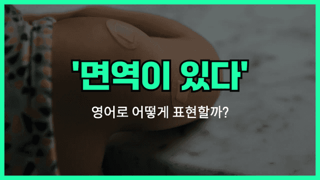 'immune to' 영어표현