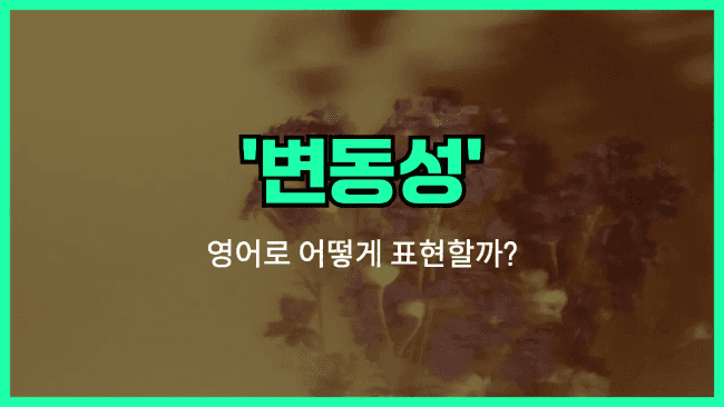 'fluctuation' 영어표현