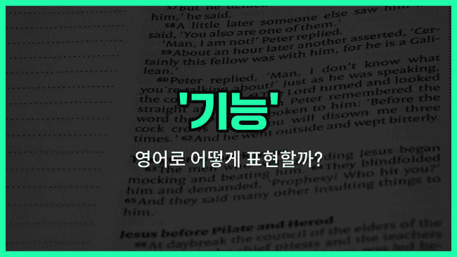 'function' 영어표현