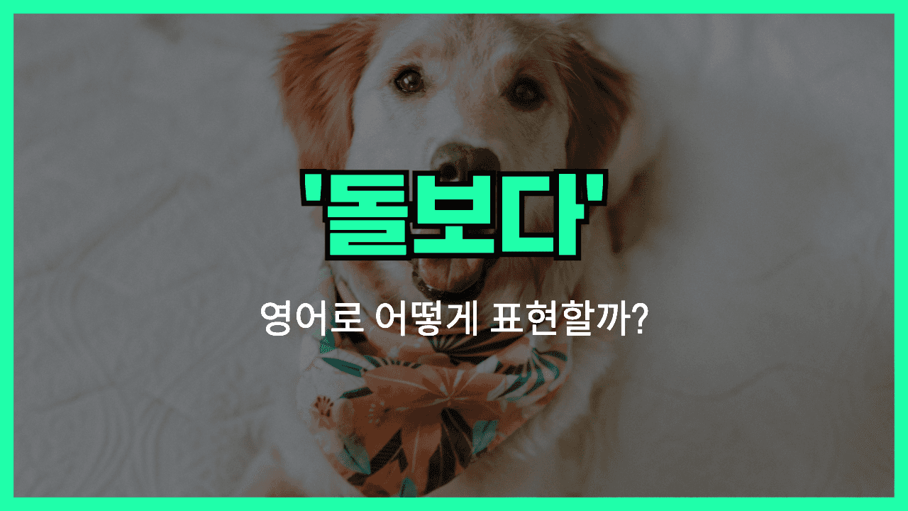 돌보다 영어표현 썸네일