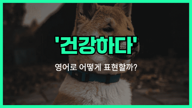 'in good shape' 영어표현
