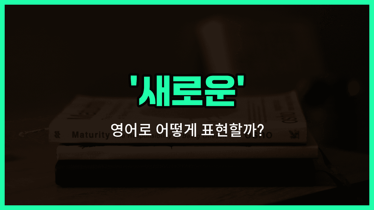 'new' 영어표현 썸네일