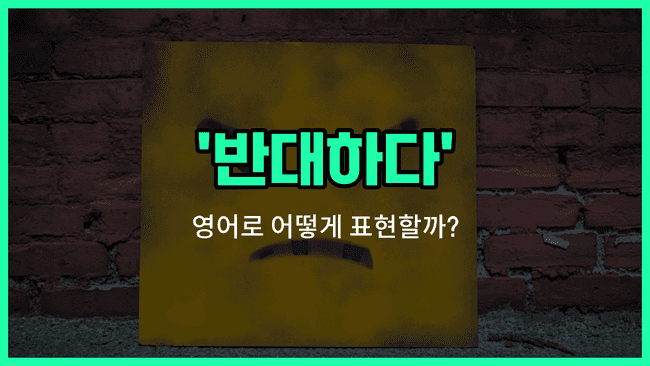 'disagree' 영어표현