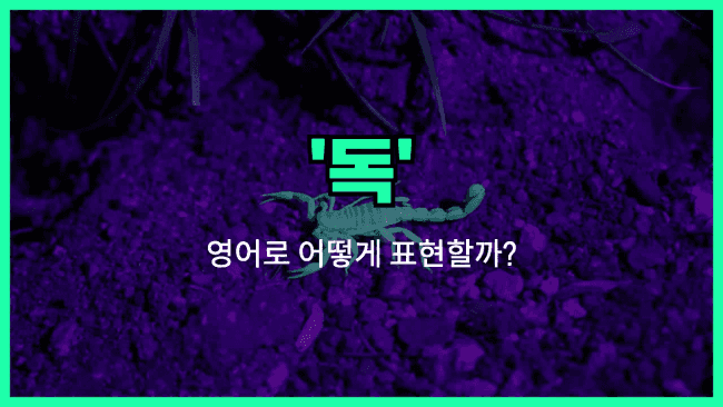 'poison' 영어표현