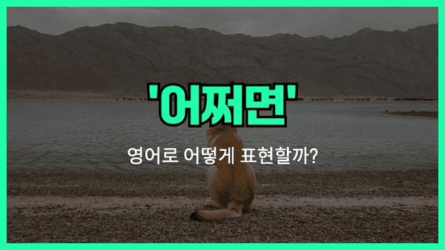 'perhaps' 영어표현