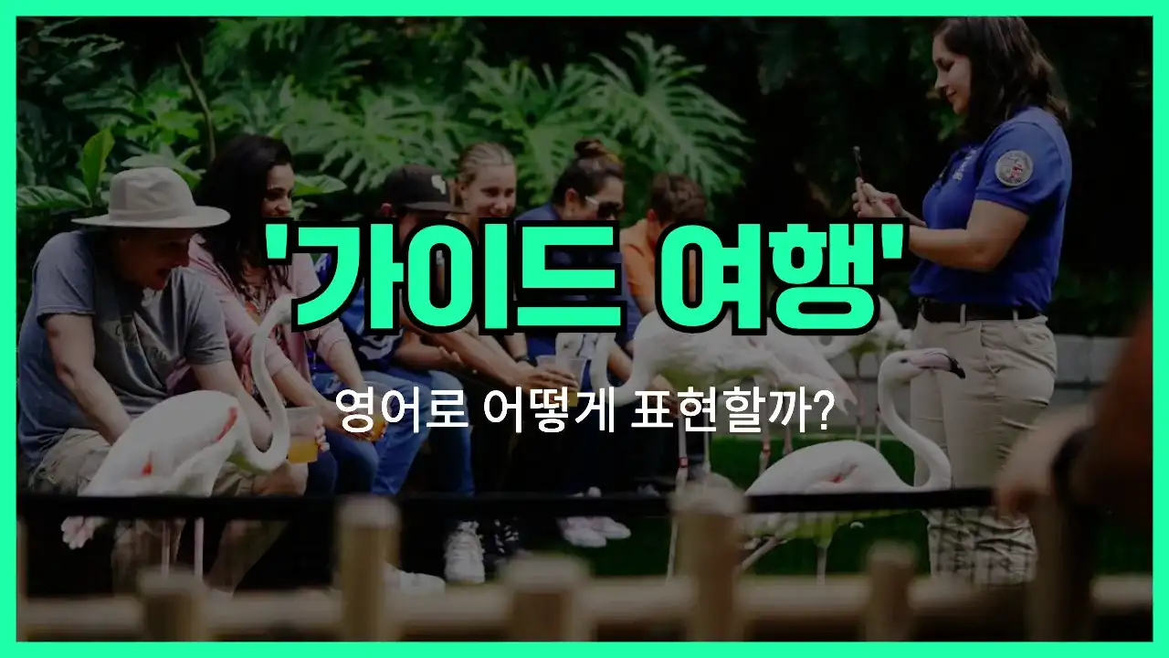 'take a guided tour' 영어표현 썸네일