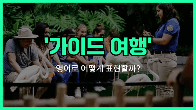 'take a guided tour' 영어표현