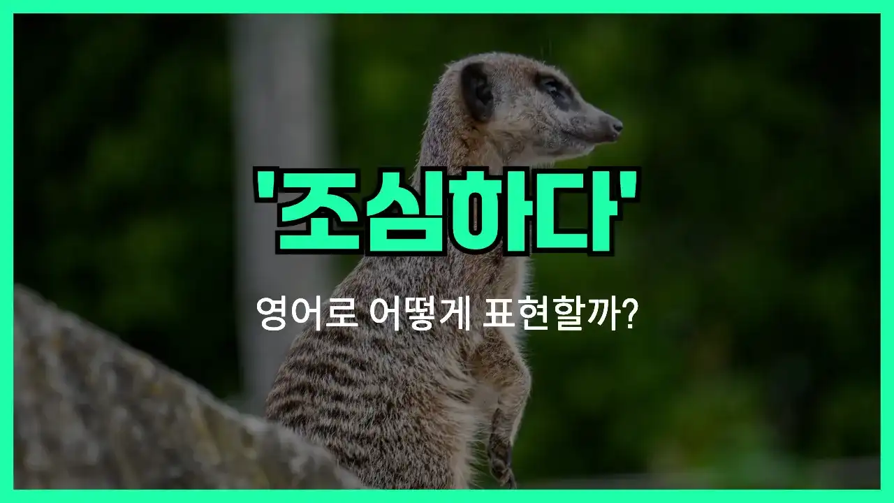 'watch out' 영어표현 썸네일