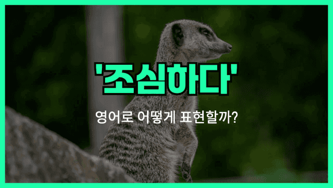 'watch out' 영어표현