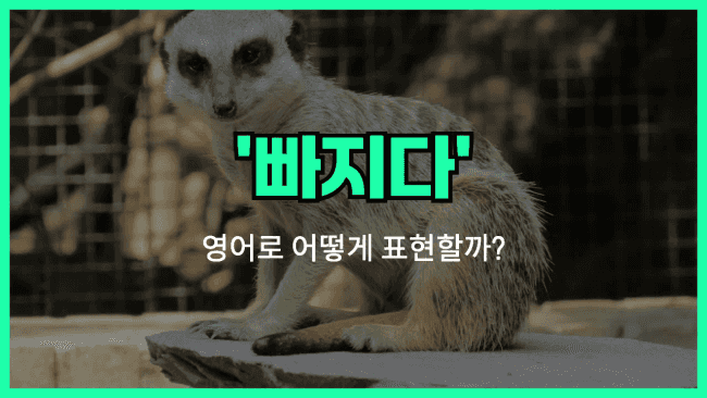 'sit out' 영어표현