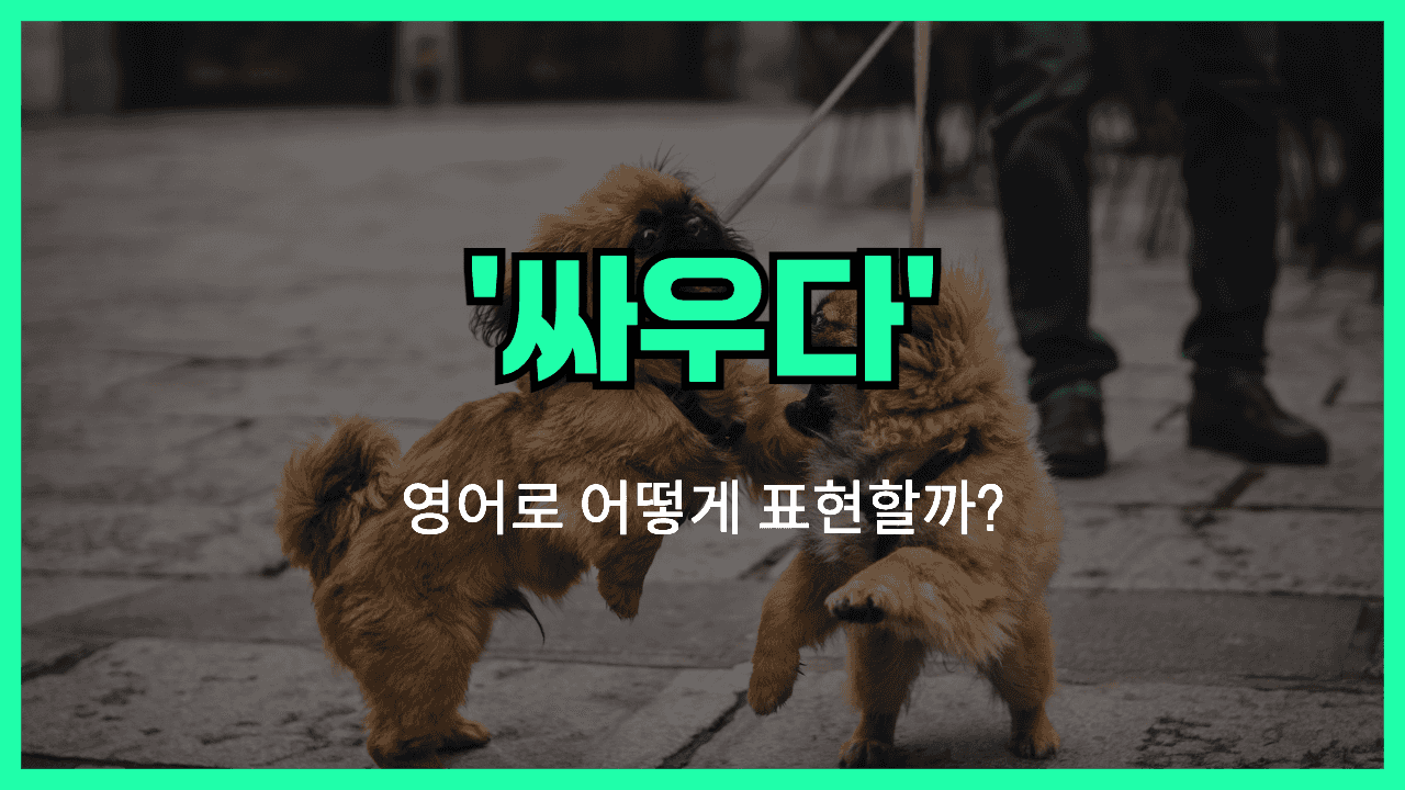 싸우다 영어표현 썸네일