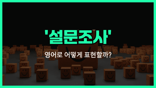 'survey' 영어표현