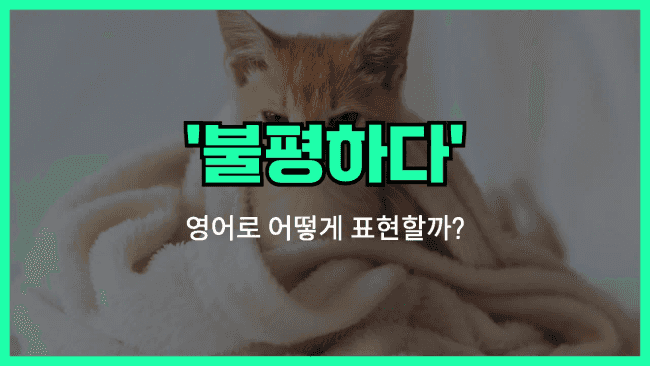 'complain' 영어표현